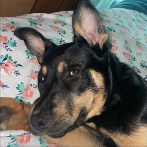 Meet your Posher, Nunu